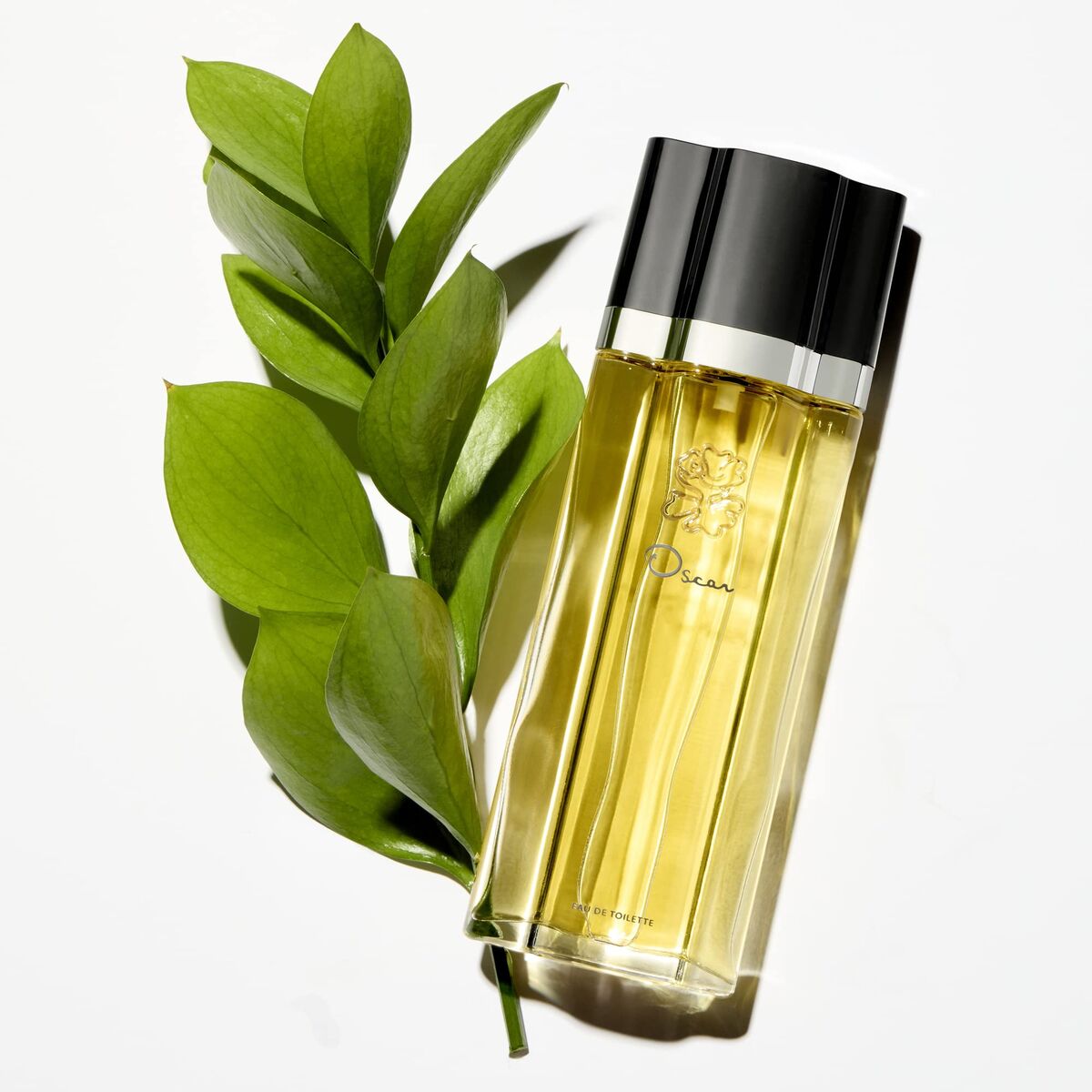 V3HD86D83D296A63B5325AC0691D4B7B64ER7590741P6