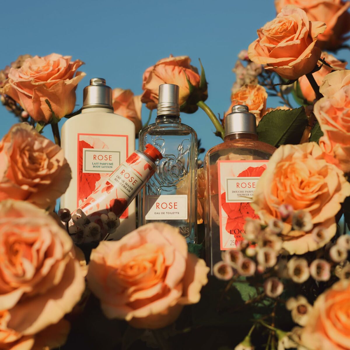 V5H67EC4F1619BF2FBEFA6EF44F51DC930DR6240740P4