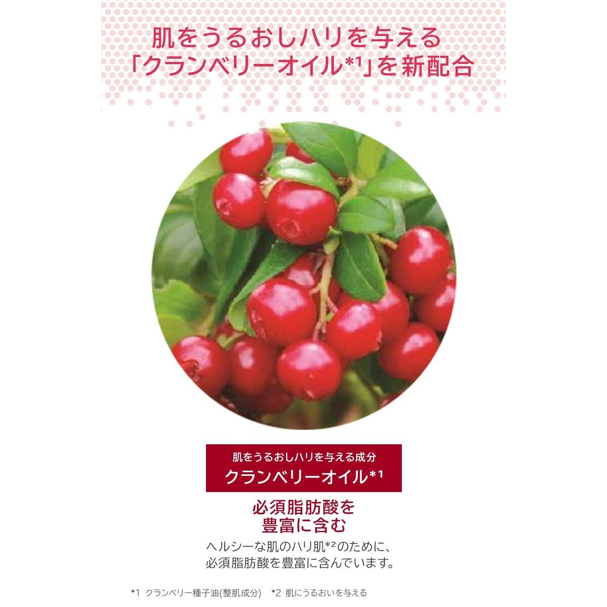 V5H14CB83092A3A9A4954CCB30E0ACC662AR6241607P8