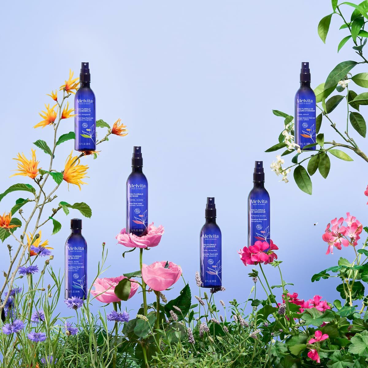 V5H19E1845824C7FD37287A8C5BA78F85F3R6241722P6