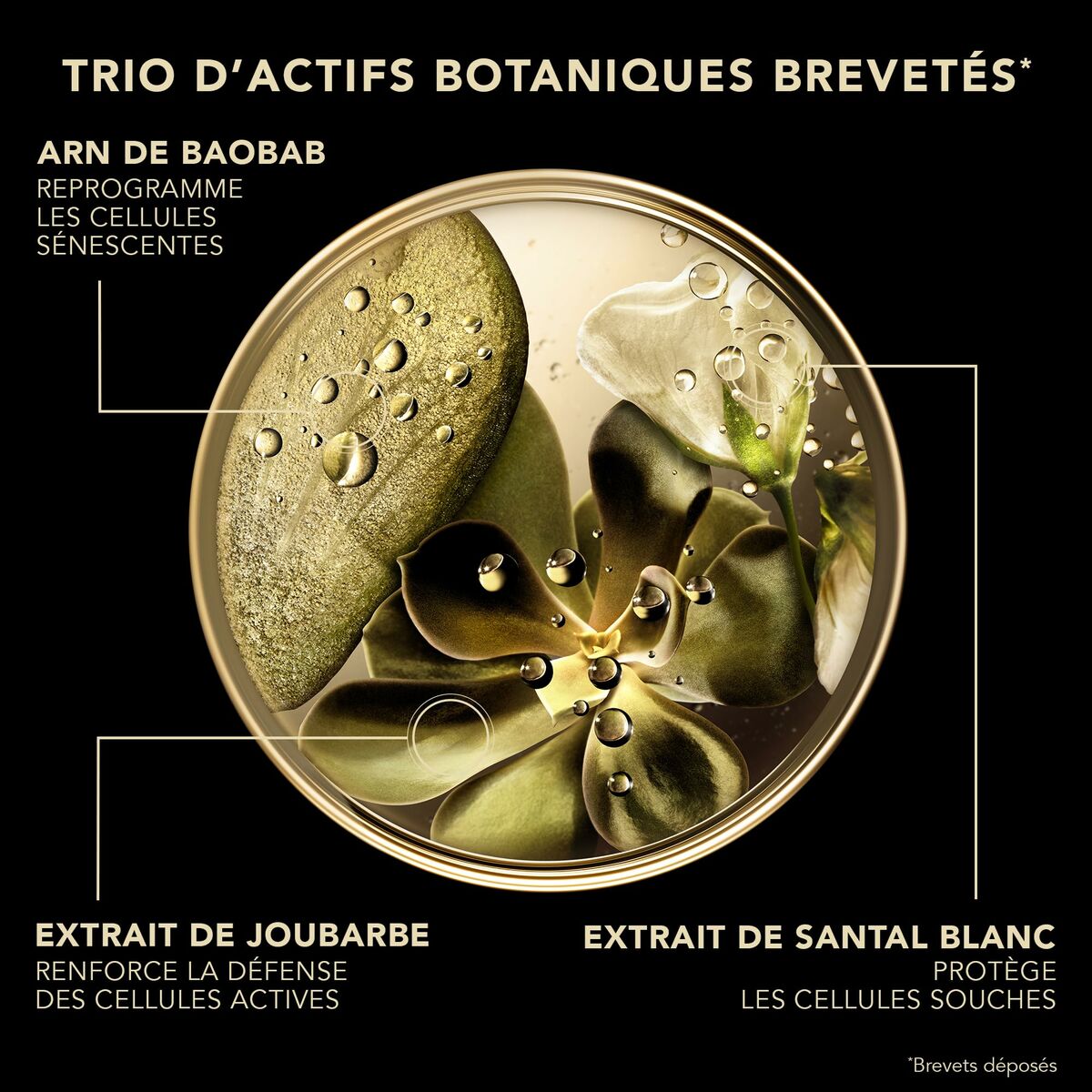 V4H45CBE30C4E26D52FA38D4E3D48152C79R7239465P3