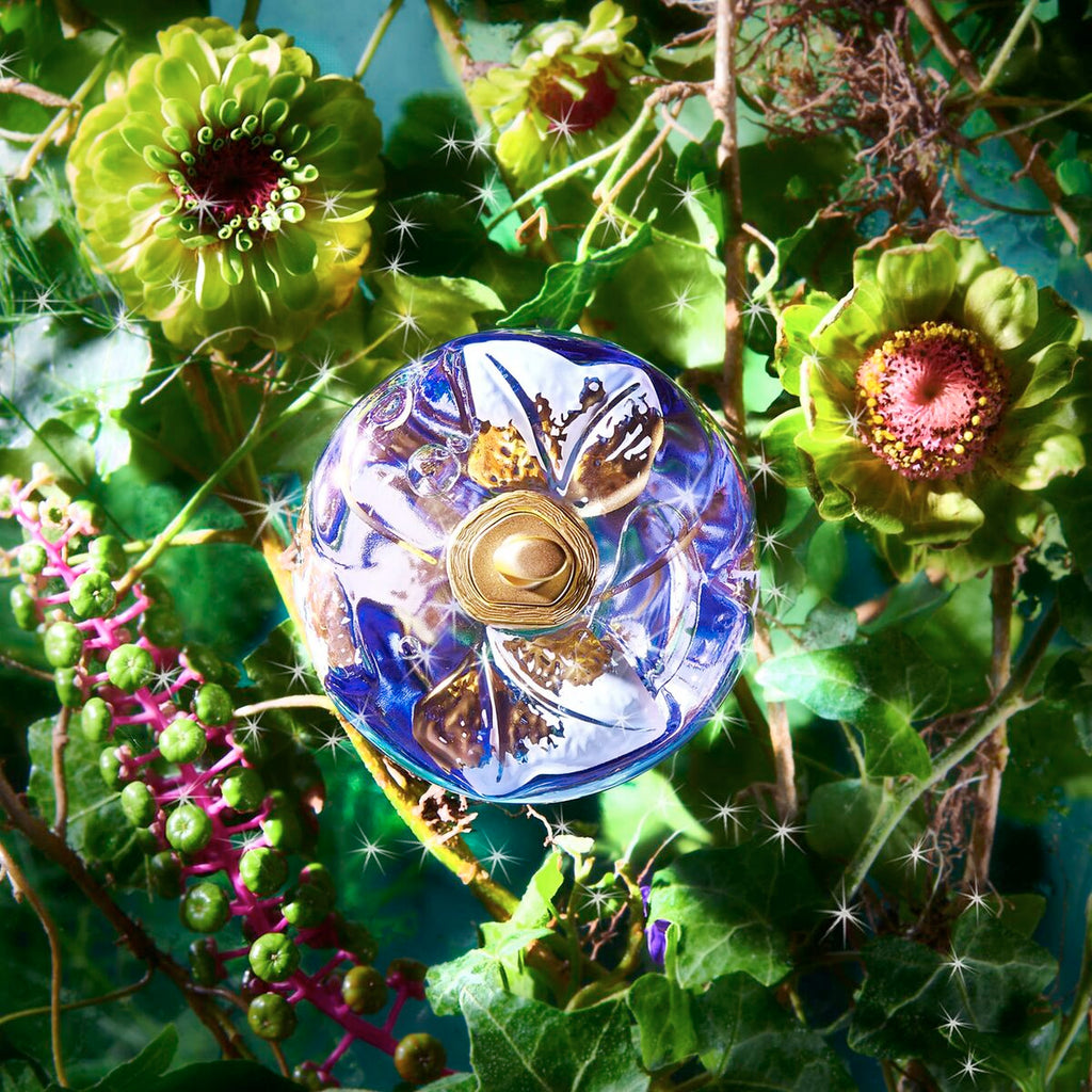 V3H211124B3A84B6073E47B29B850597BAER7550222P4