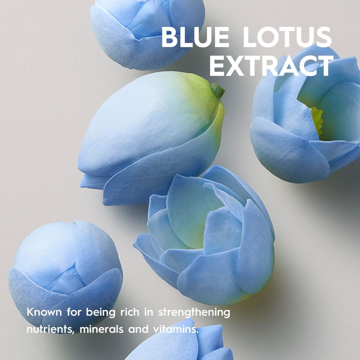 V4HED197BFBB22935555D4D523288F4E233R7388195P8