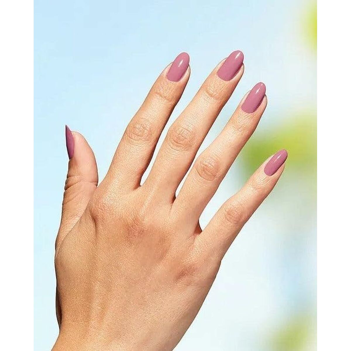 V5H30E9576E5B6655D10F9A83151855D5F0R6241901P3