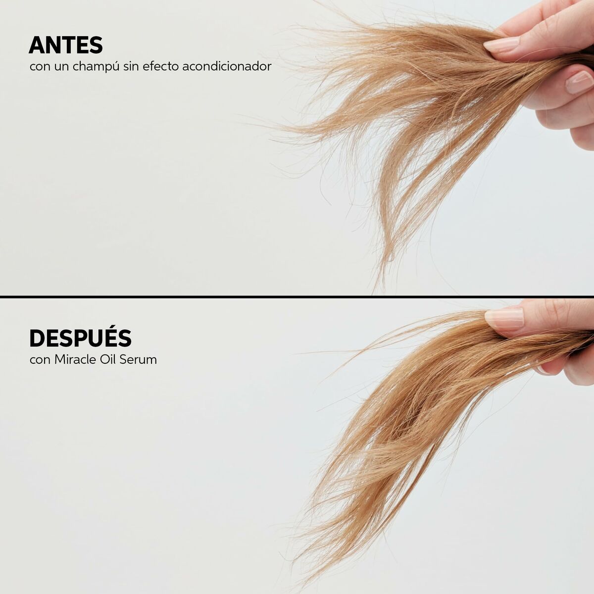 V5HDA317E0026BB0888D47D574BBEB8425ER5608524P10