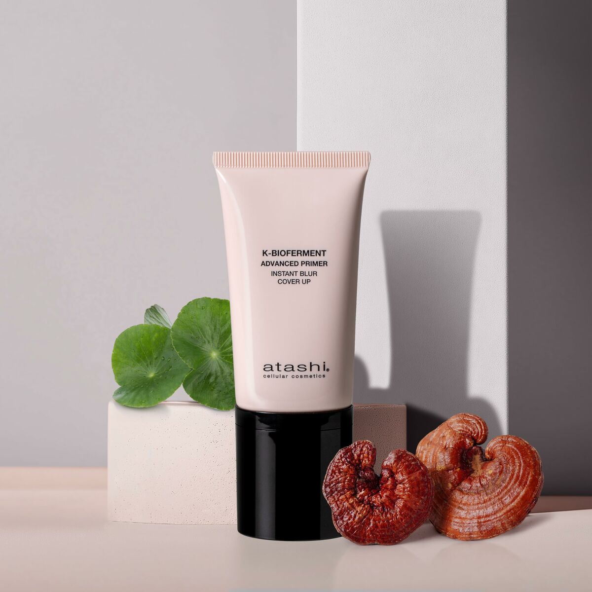 V5HBF6853840F1C6E4DC286B000F2AEC2CFR5674947P2