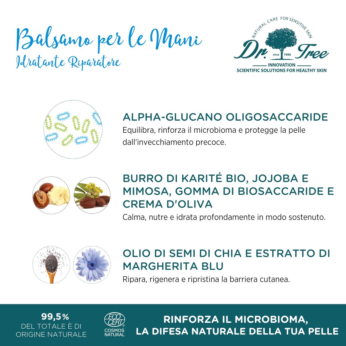 V2HE1532EEC91BDEBBE4BEDD2E56B20D02FR7706935P1