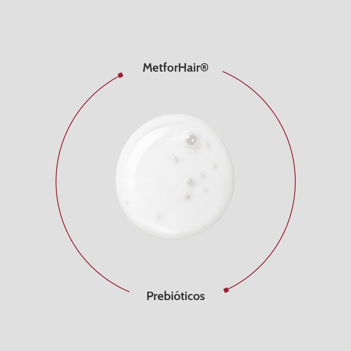 V2HA0BFE26F6E1631CD15DFC796E7074AE1R7703692P2