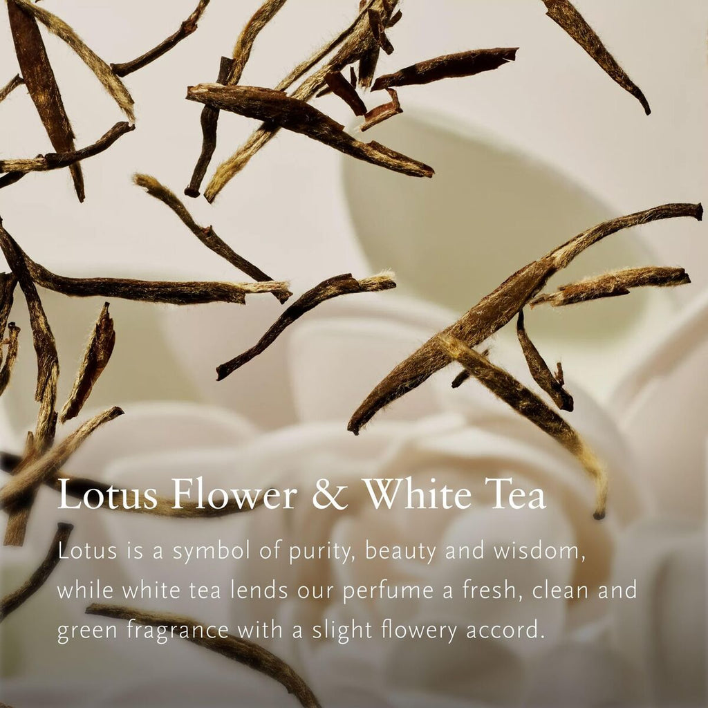 V3H12B5919EE497FDE6FB2BF4E669AE008FR7590631P4