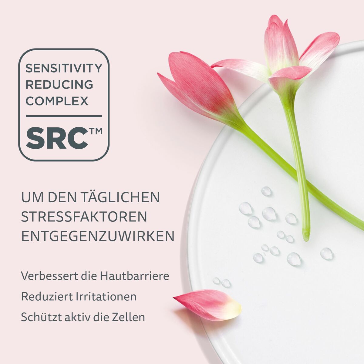 V12HB1B782D0A94C8CB8A8FF9130CB6F5FA9R7717724P2